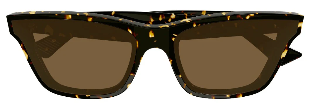 Bottega Veneta BV1119S - Image 5