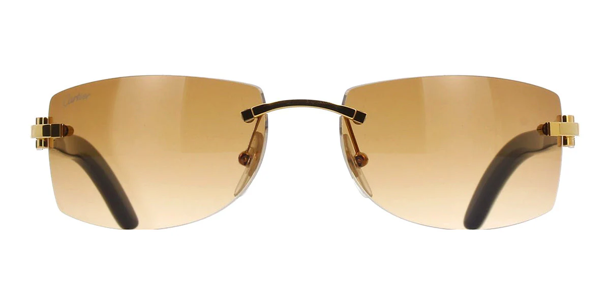 Cartier CT0017RS - Image 2