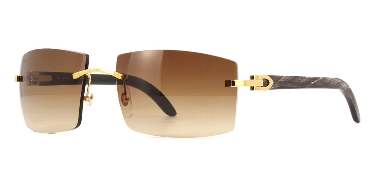 Cartier CT0021RS