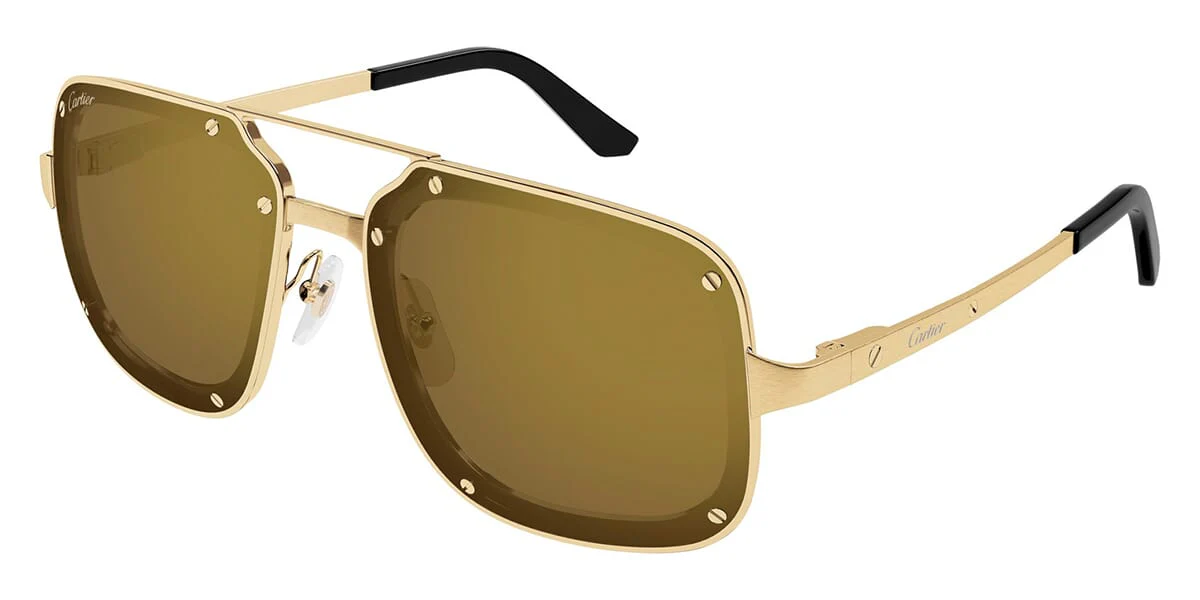 Cartier CT0194S - Image 12