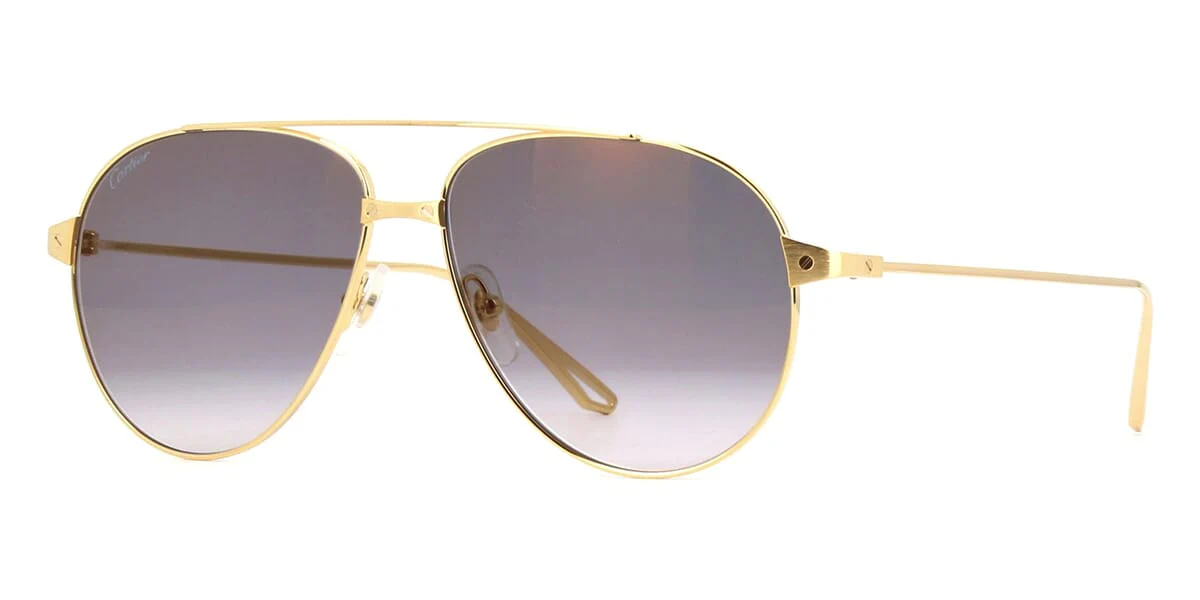 Cartier CT0298S