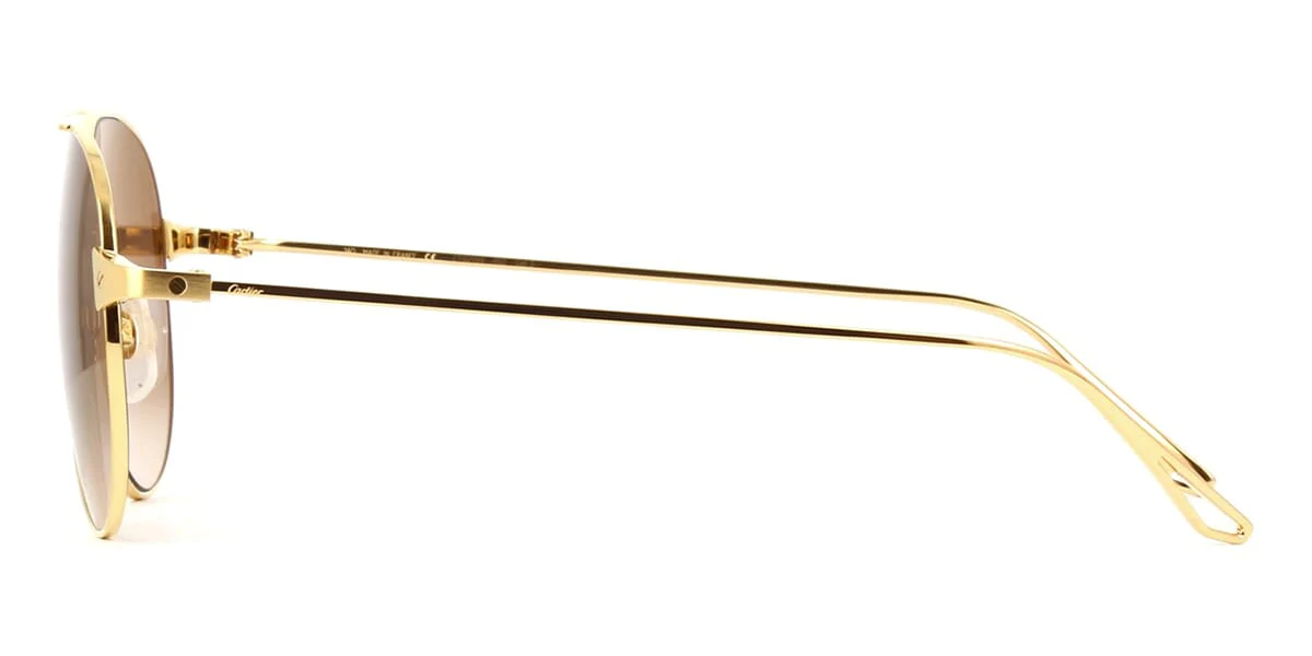 Cartier CT0298S - Image 6