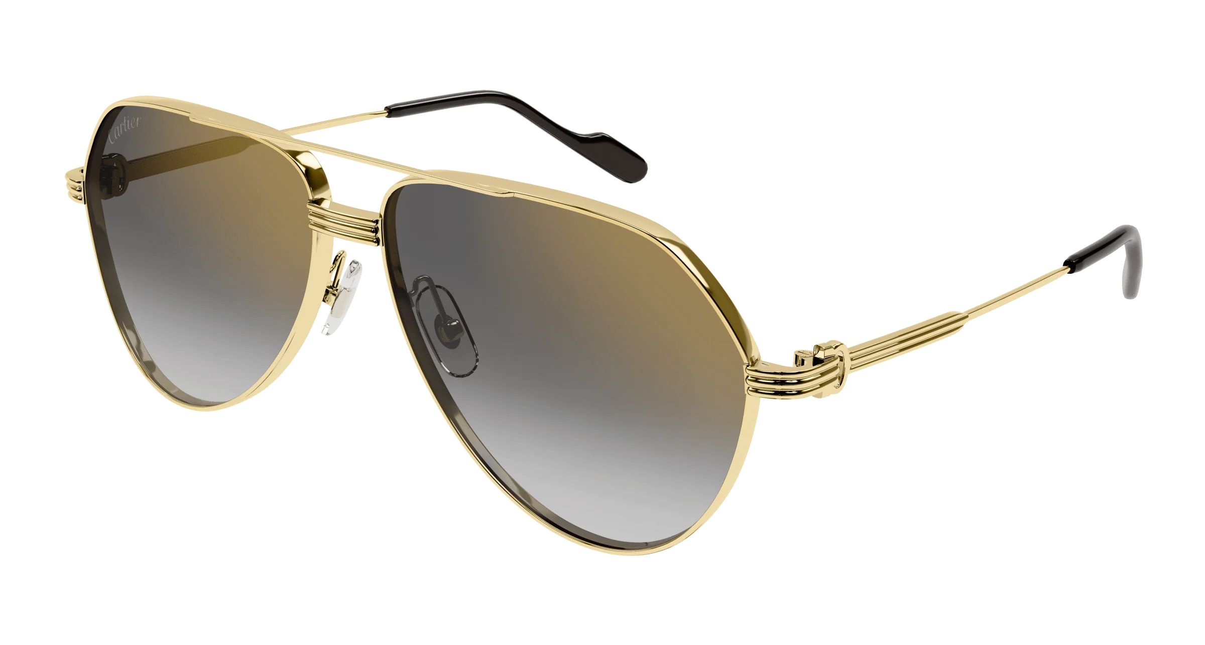 Cartier CT0303S