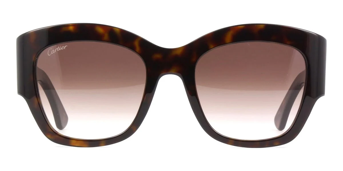 Cartier CT0304S - Image 2