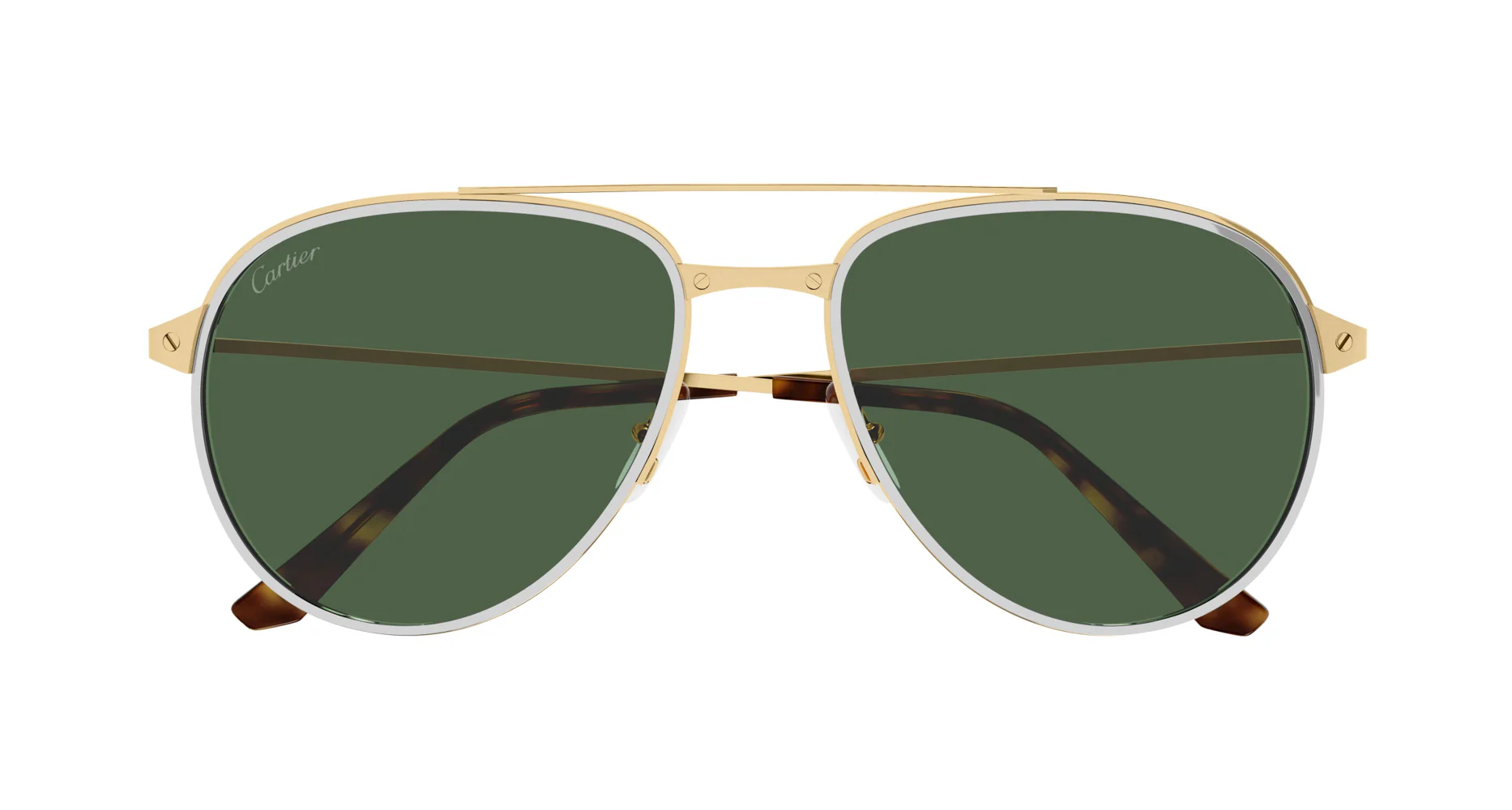 Cartier CT0325S - Image 2