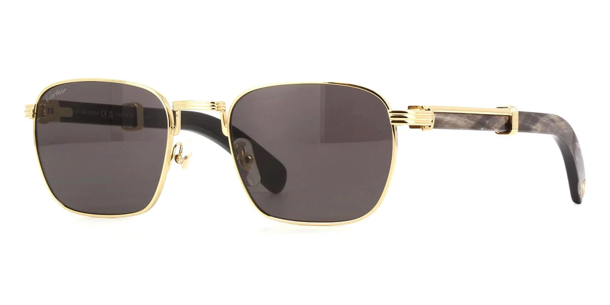 Cartier CT0363S