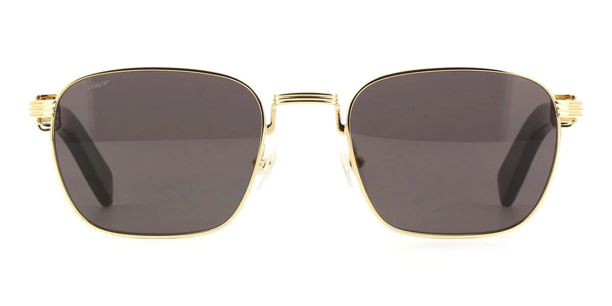 Cartier CT0363S - Image 2