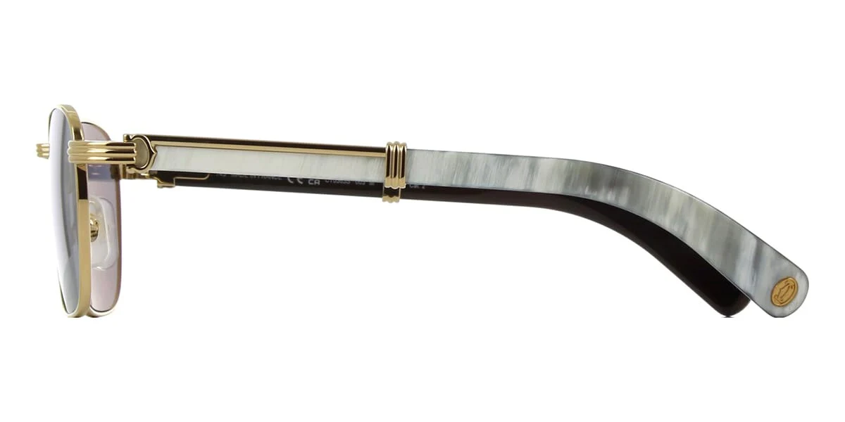 Cartier CT0363S - Image 8