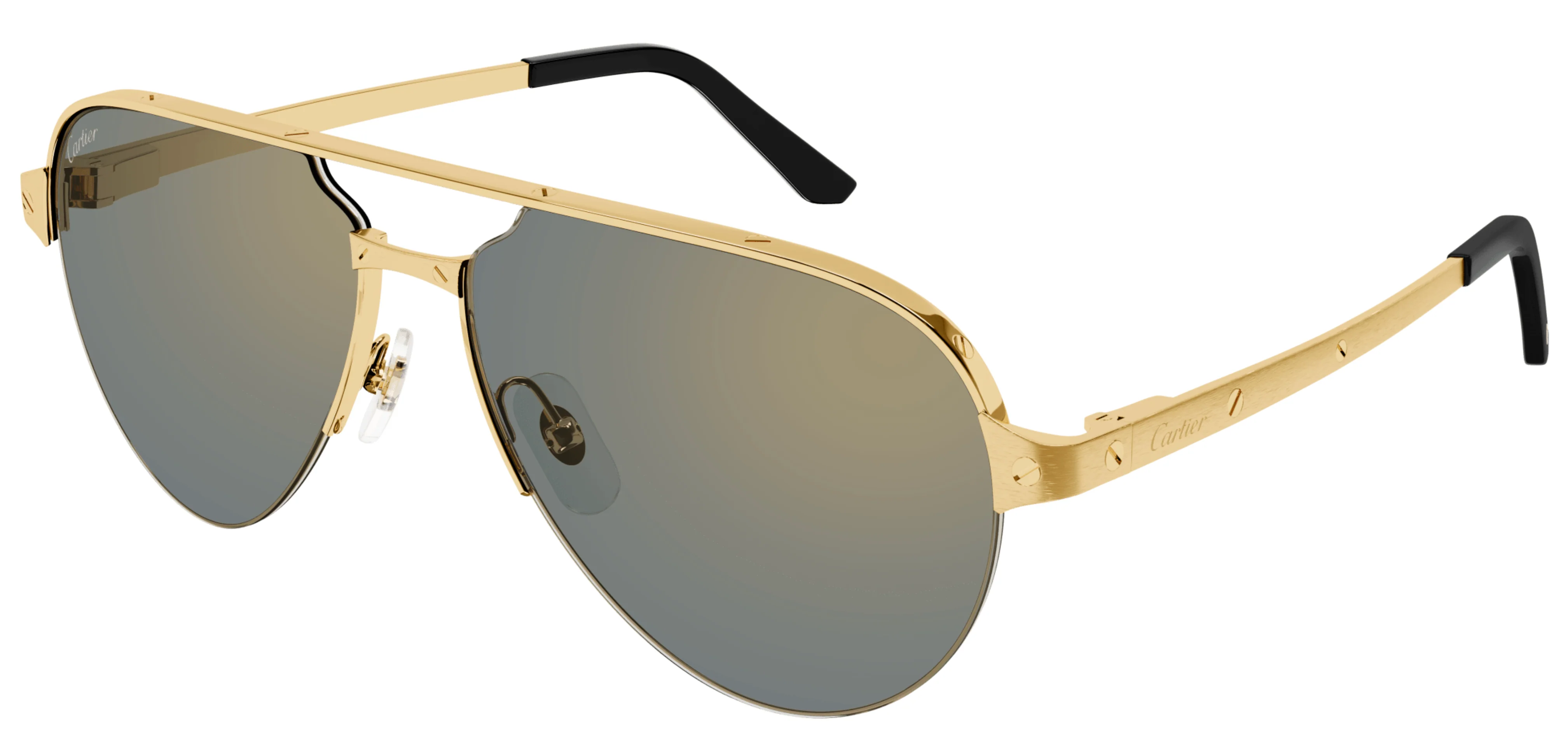 Cartier CT0386S