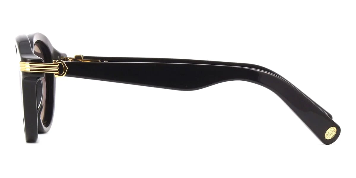 Cartier CT0395S - Image 3