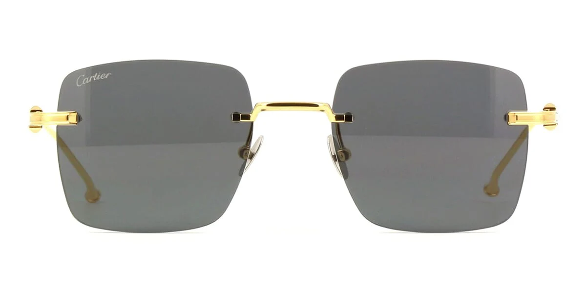 Cartier CT0403S - Image 2