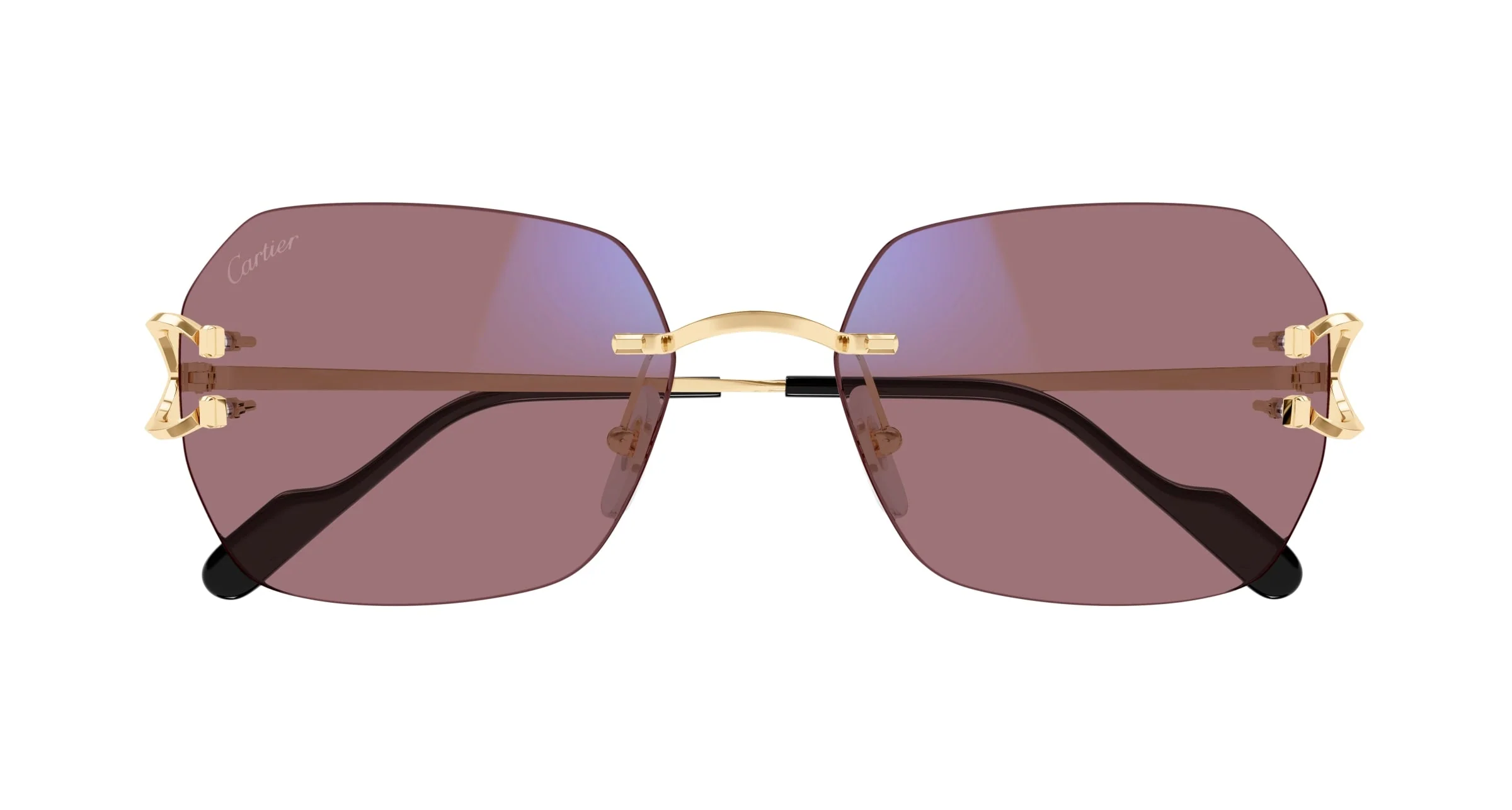 Cartier CT0416S - Image 5