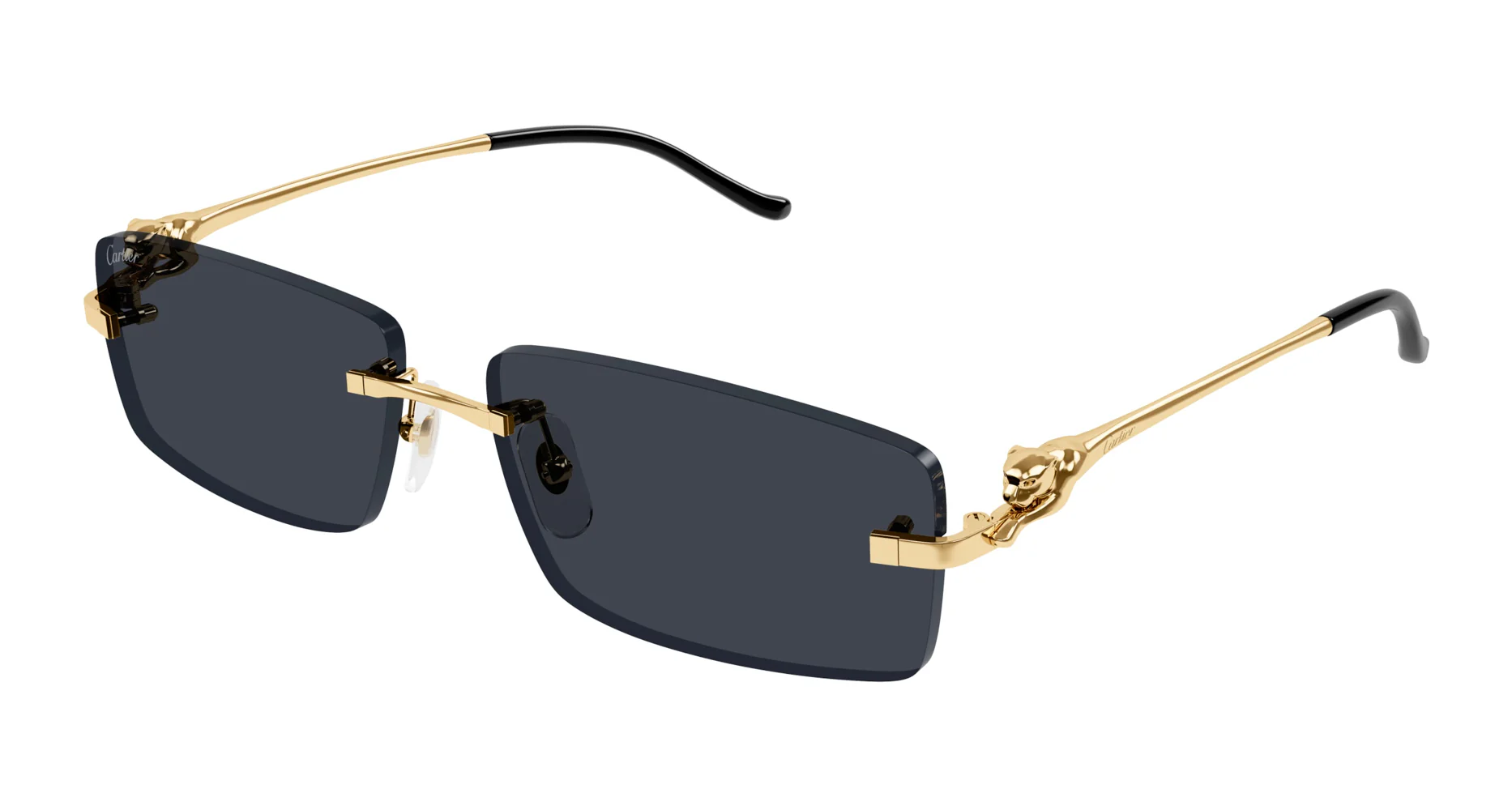 Cartier CT0430S