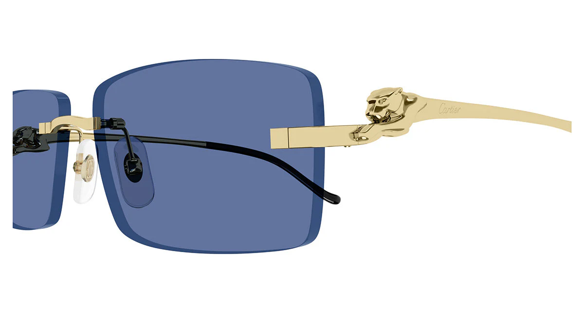 Cartier CT0430S - Image 10