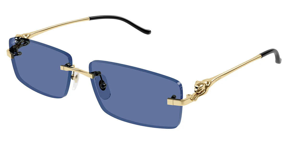 Cartier CT0430S - Image 8
