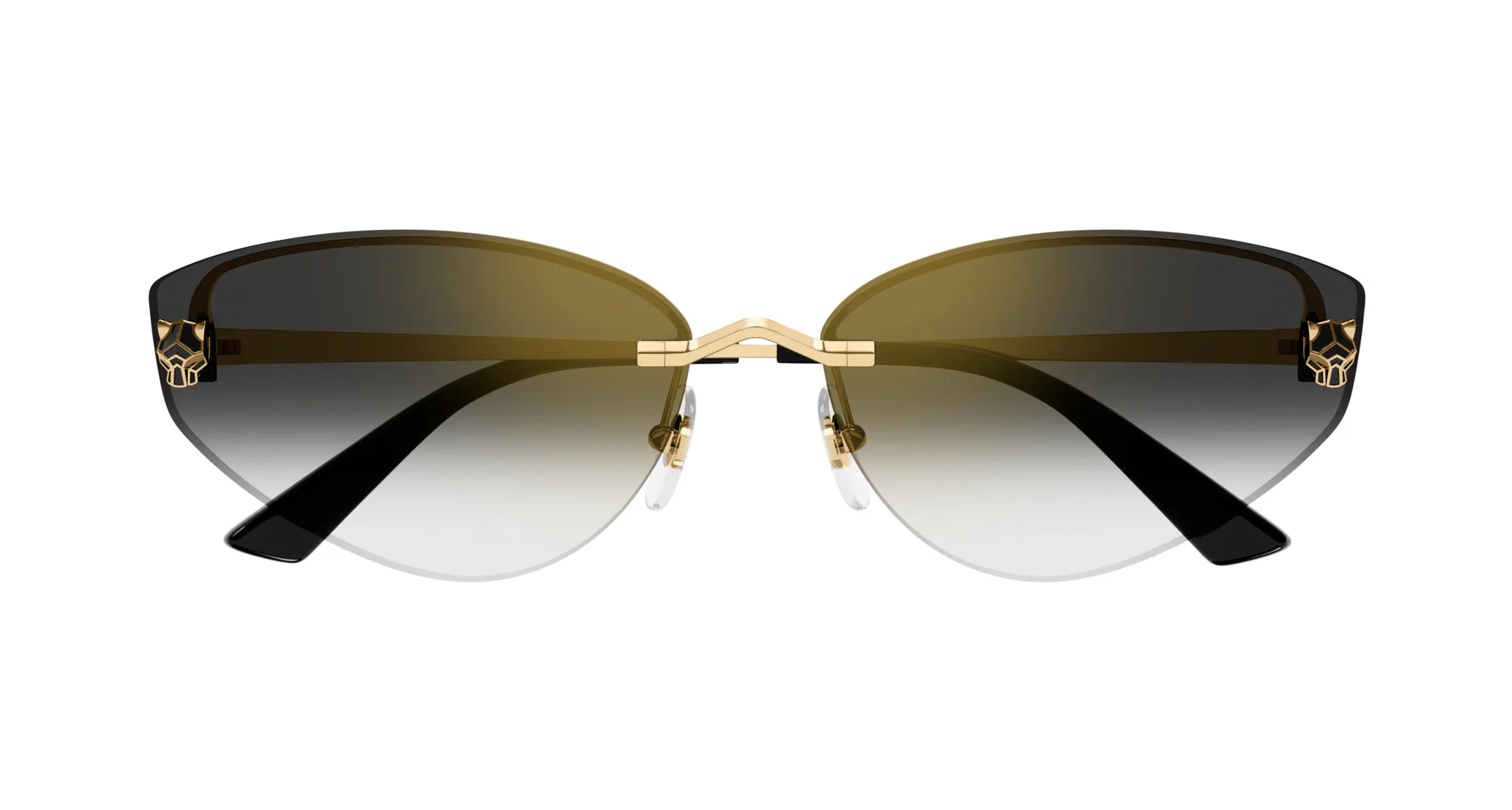 Cartier CT0431S - Image 2