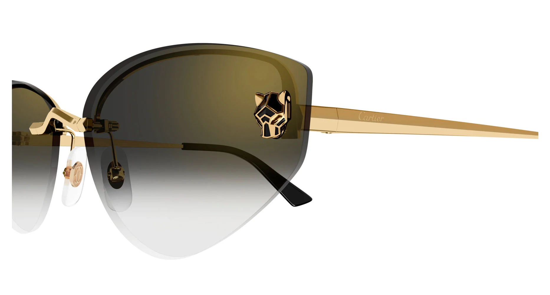 Cartier CT0431S - Image 3