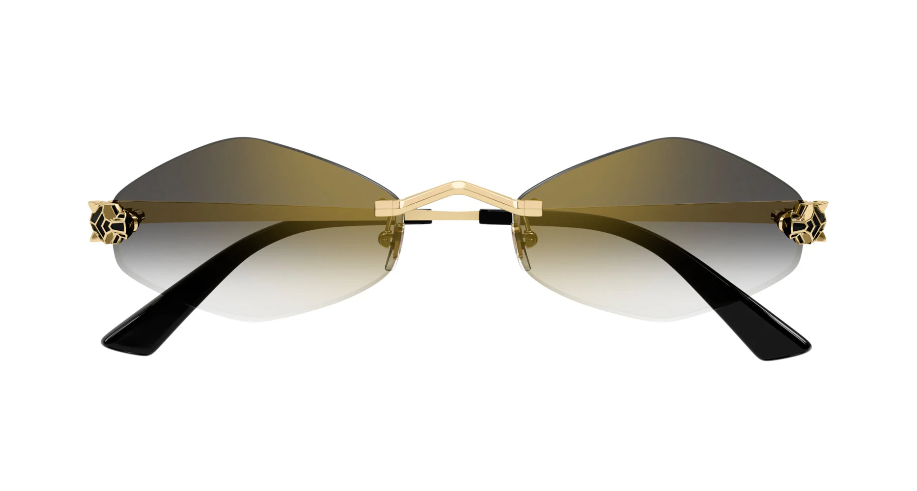 Cartier CT0433S - Image 5
