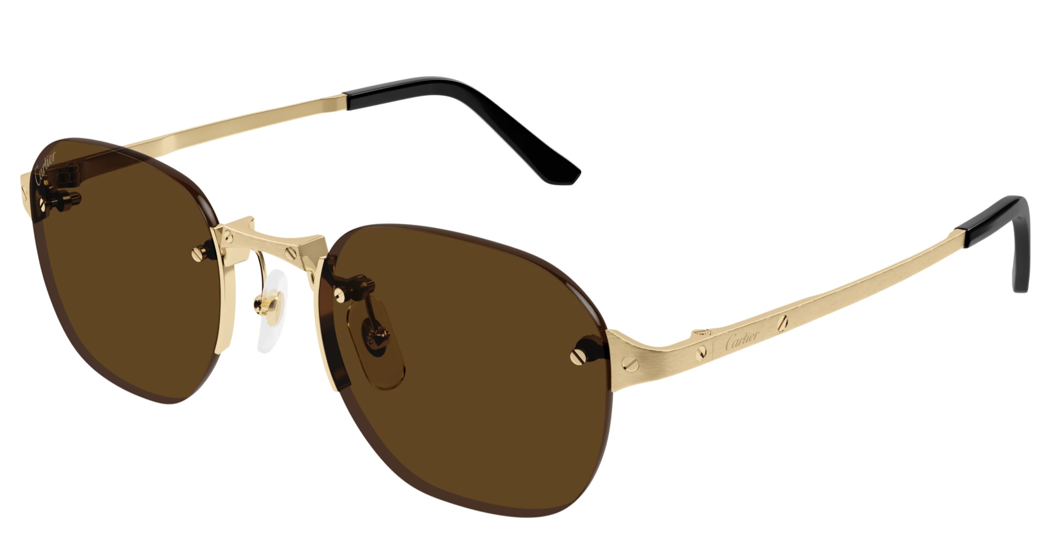 Cartier CT0459S - Image 4