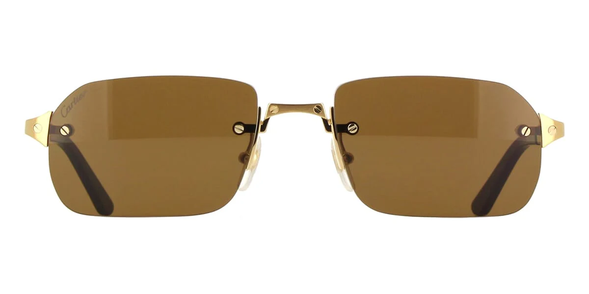 Cartier CT0460S - Image 5