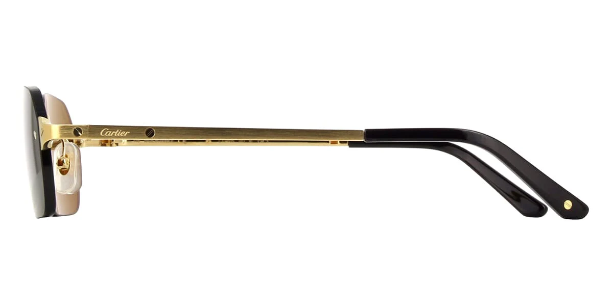 Cartier CT0460S - Image 6