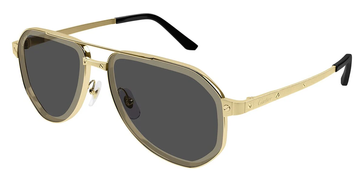 Cartier CT0461S - Image 4