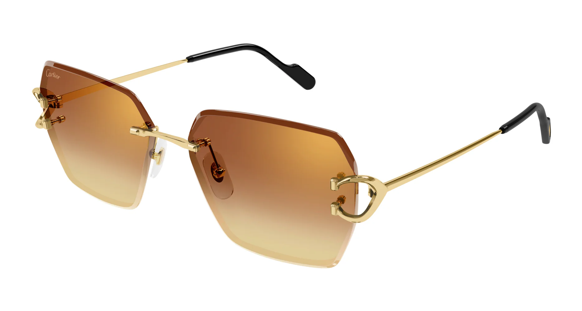 Cartier CT0466S - Image 5