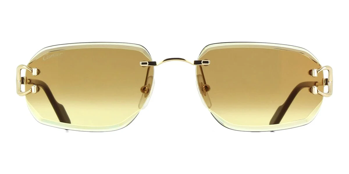 Cartier CT0468S - Image 11