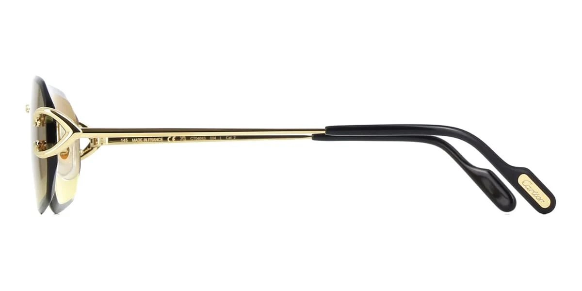 Cartier CT0468S - Image 12
