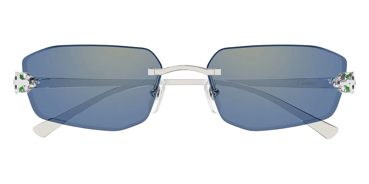 Cartier CT0474S - Image 2