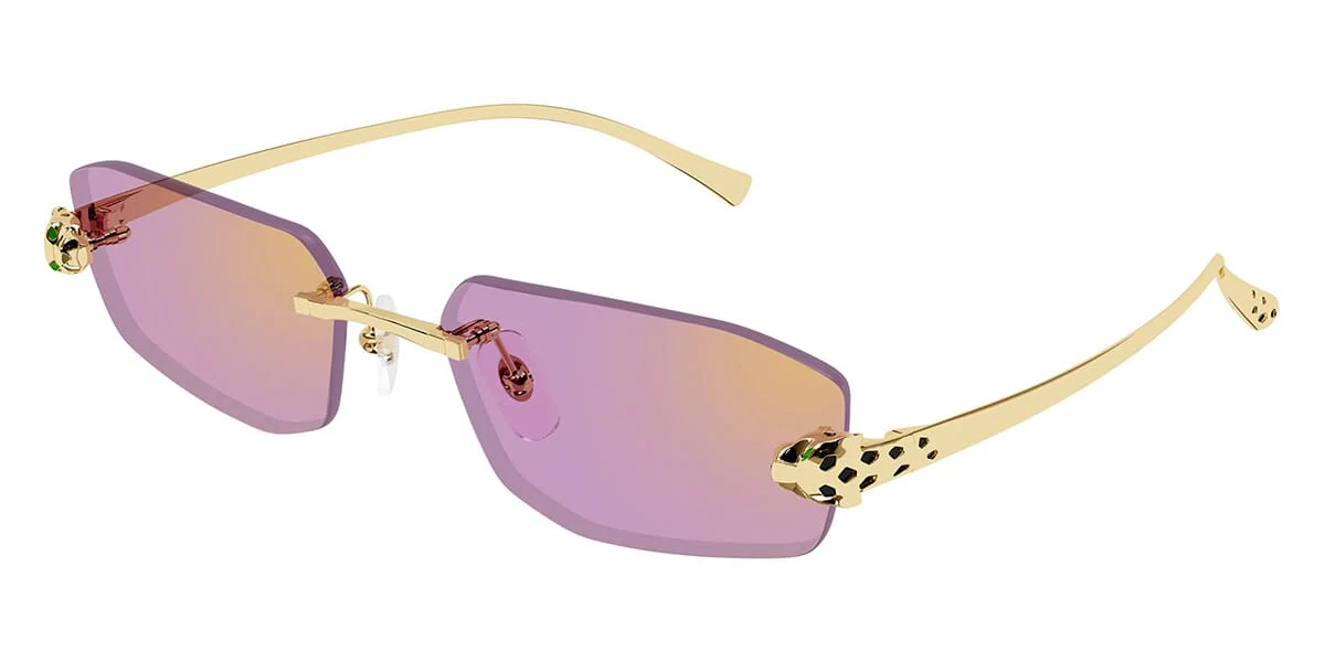 Cartier CT0474S - Image 5