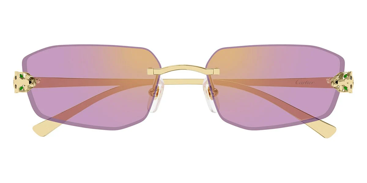 Cartier CT0474S - Image 6