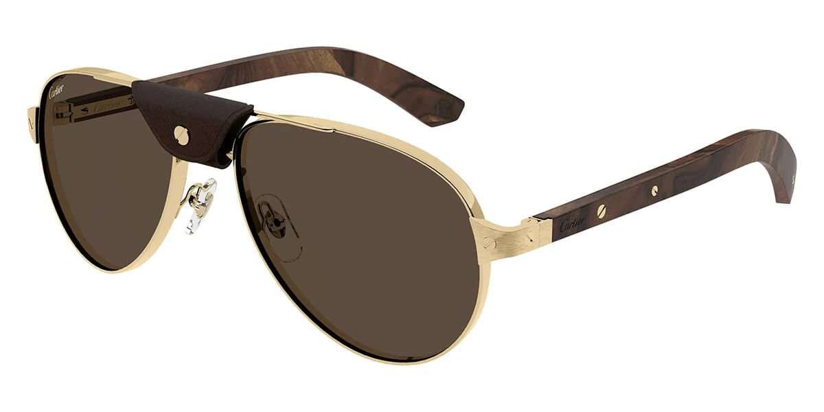 Cartier CT0495S - Image 5
