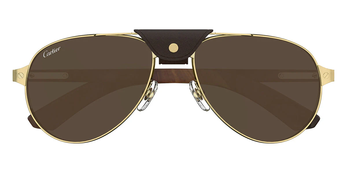 Cartier CT0495S - Image 6