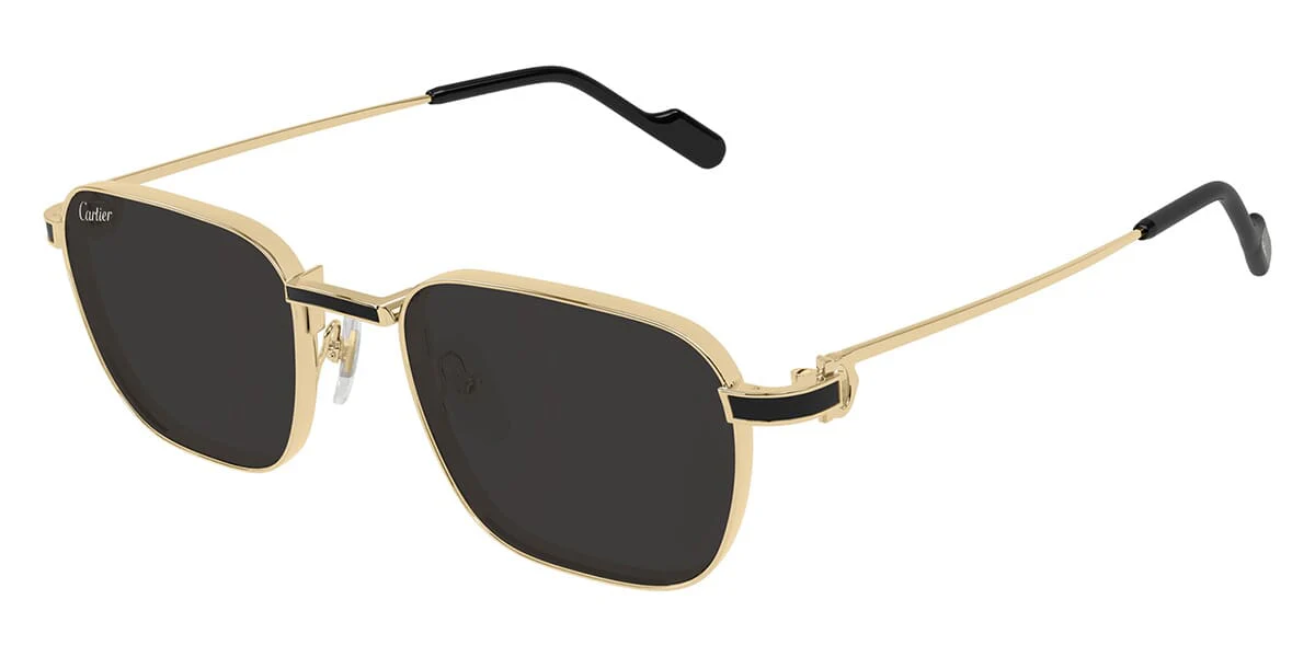 Cartier CT0497S - Image 4