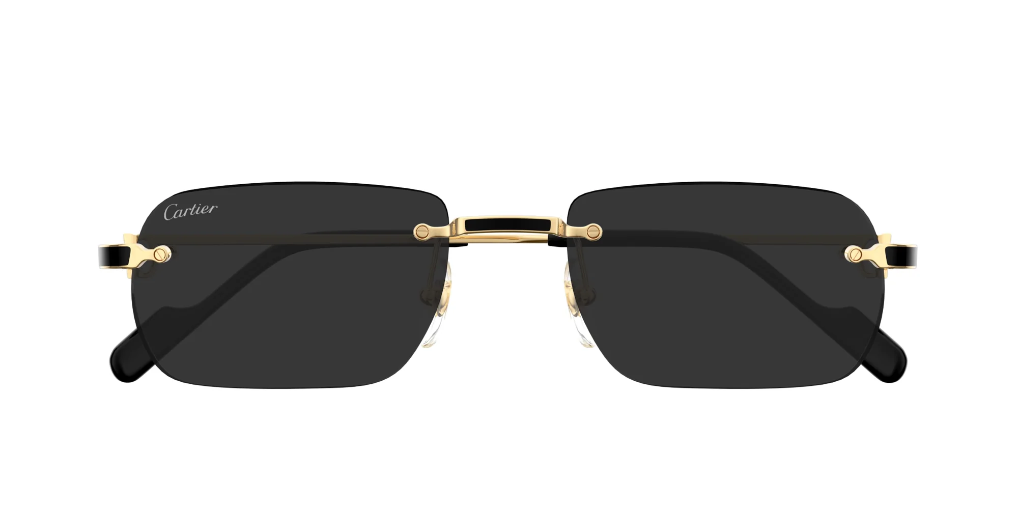 Cartier CT0498S - Image 2