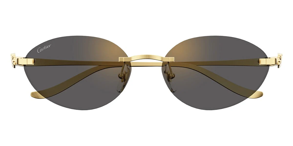 Cartier CT0504S - Image 5