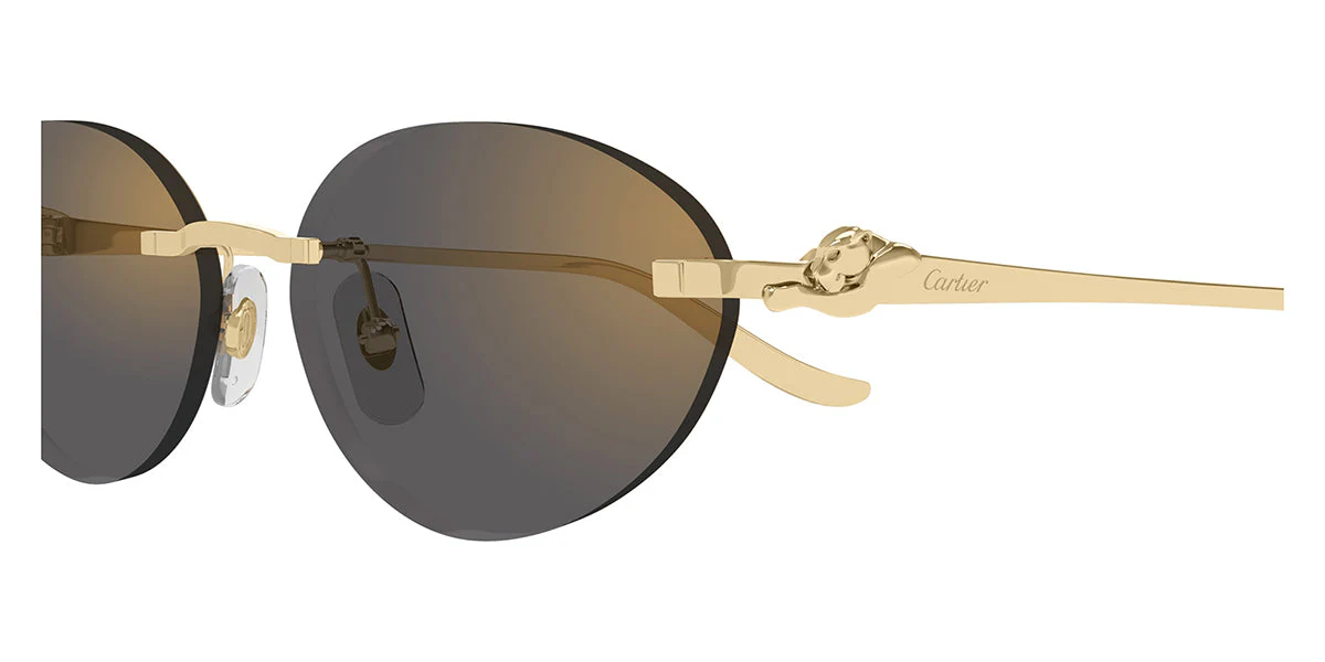 Cartier CT0504S - Image 6