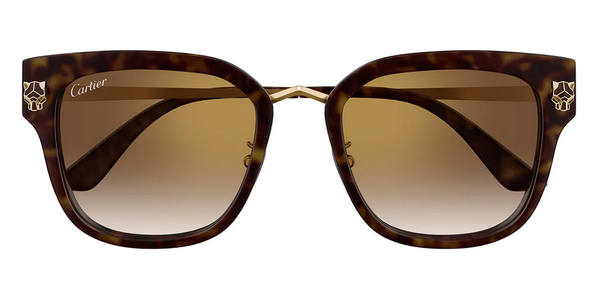 Cartier CT0509SA - Image 2