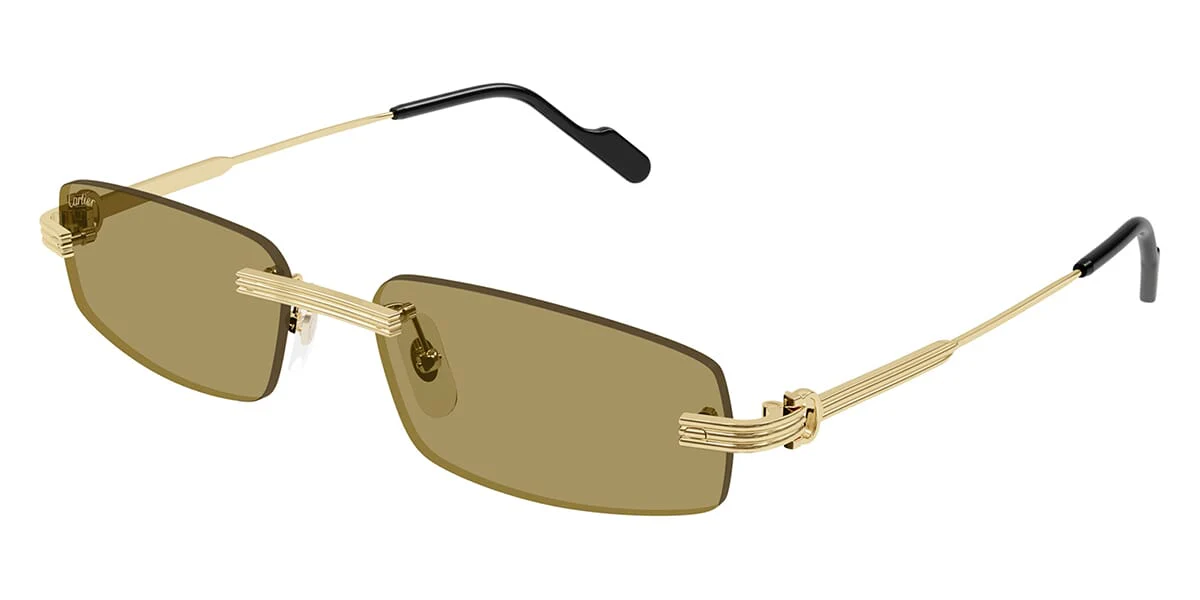 Cartier CT0535S - Image 4