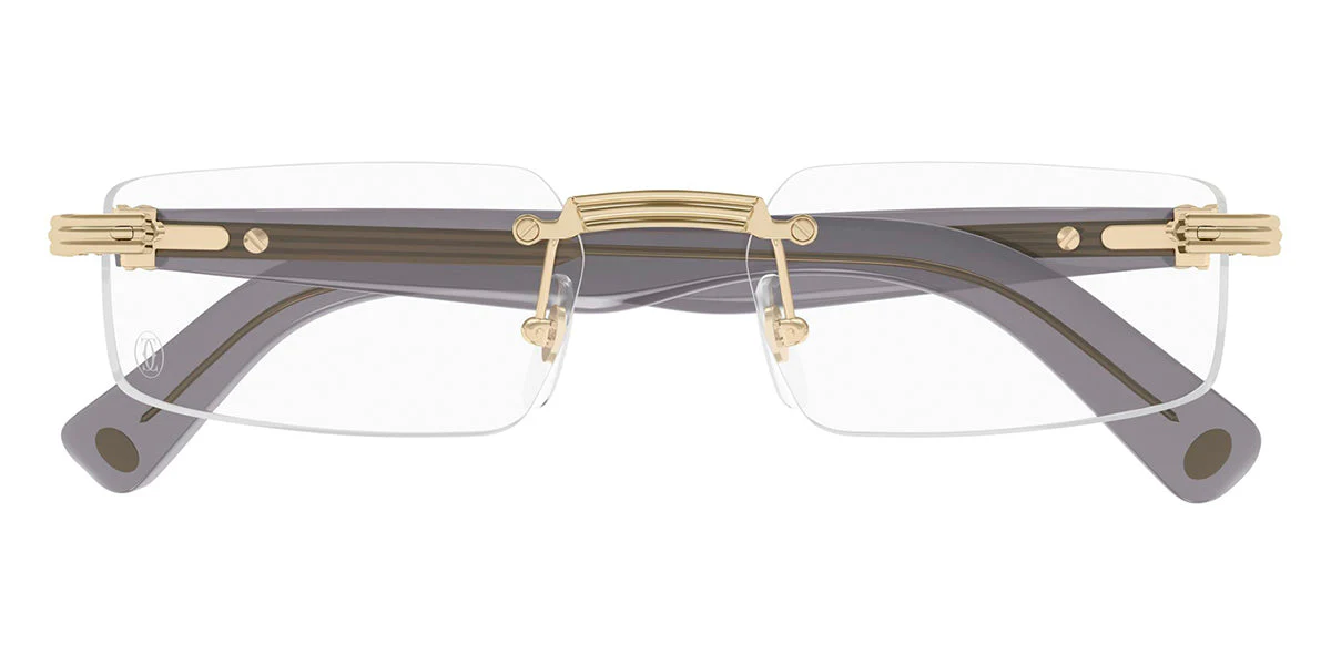 Cartier CT0537O - Image 2