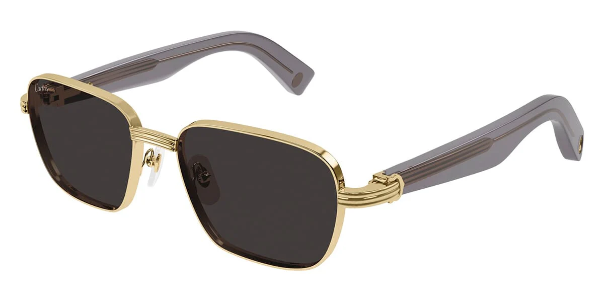 Cartier CT0538S - Image 4
