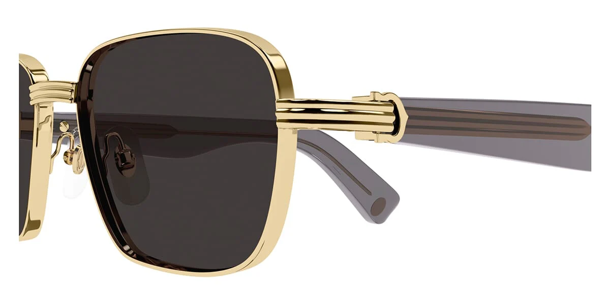 Cartier CT0538S - Image 6