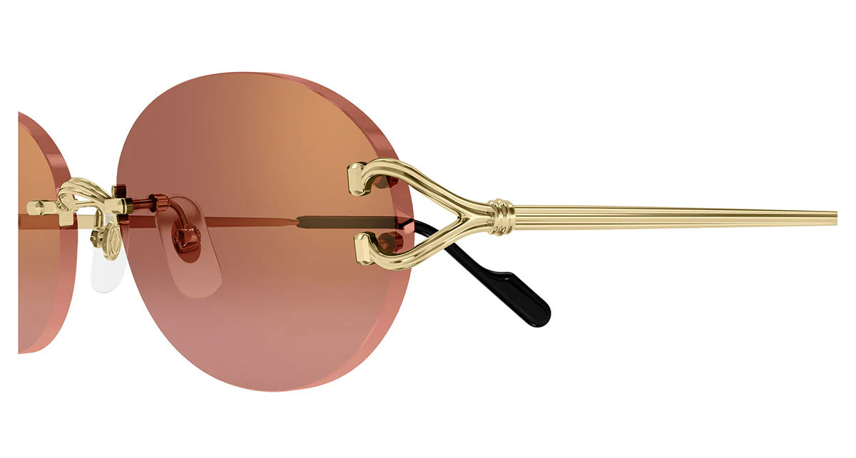 Cartier CT0551S - Image 11