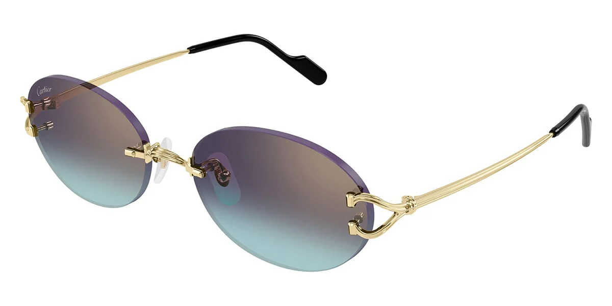 Cartier CT0551S - Image 19