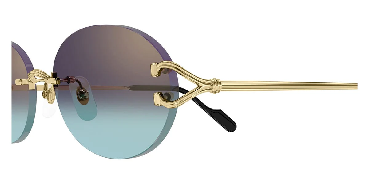 Cartier CT0551S - Image 21