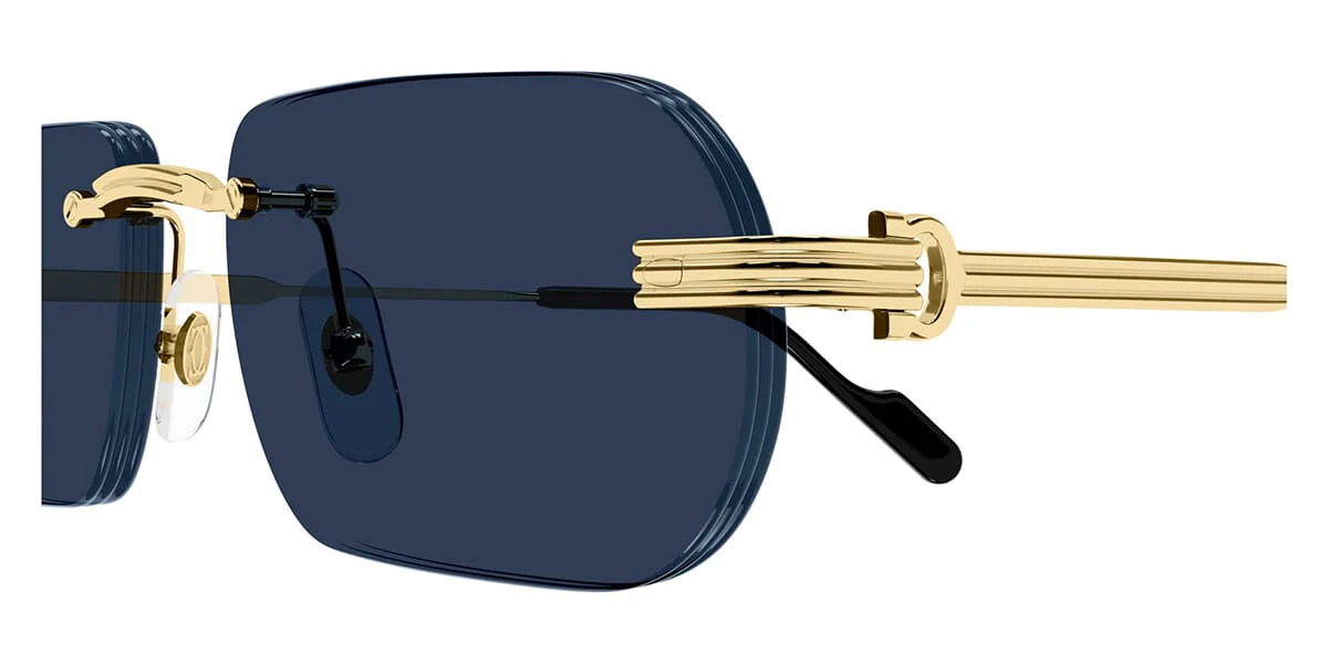 Cartier CT0577S - Image 9