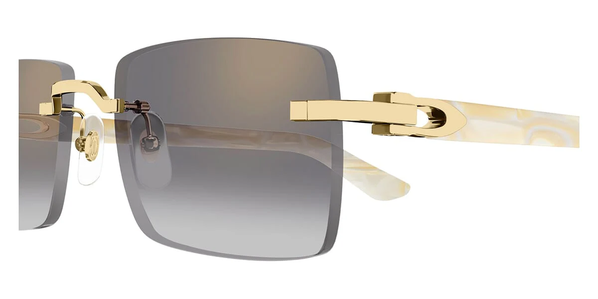 Cartier CT0579S - Image 7