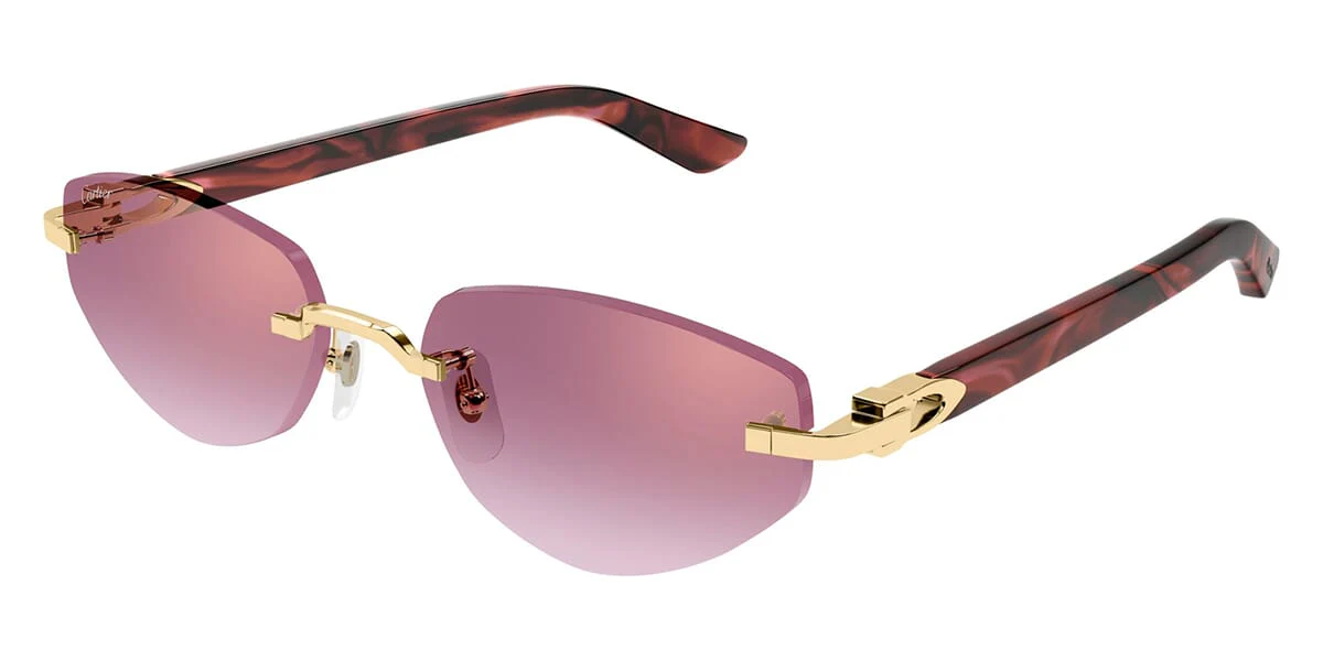 Cartier CT0580S - Image 4