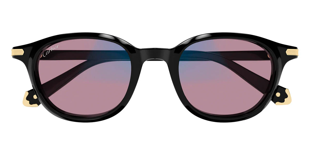 Cartier CT0584S - Image 12